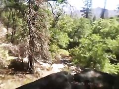 Fucking in the Sequoias